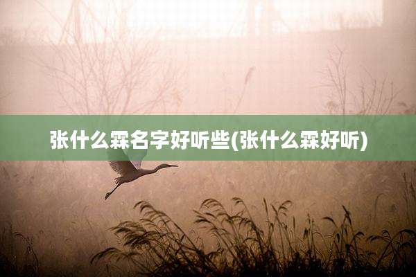 张什么霖名字好听些(张什么霖好听)
