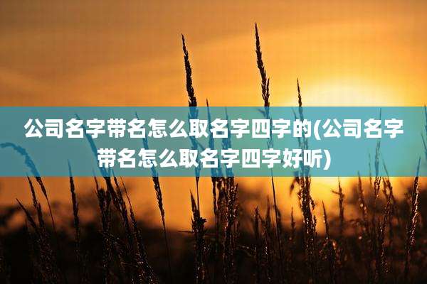 公司名字带名怎么取名字四字的(公司名字带名怎么取名字四字好听)