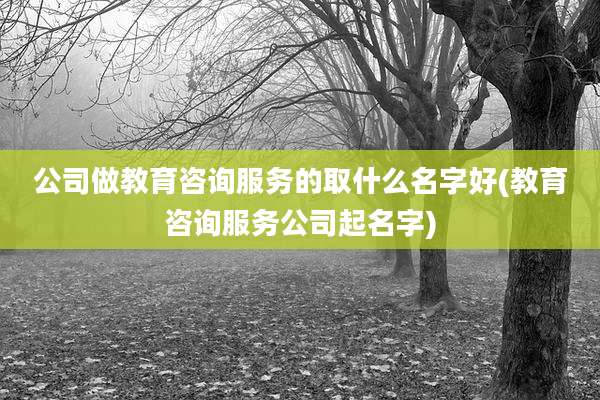 公司做教育咨询服务的取什么名字好(教育咨询服务公司起名字)