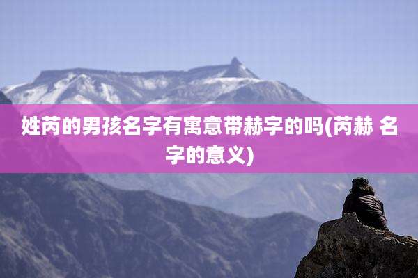 姓芮的男孩名字有寓意带赫字的吗(芮赫 名字的意义)