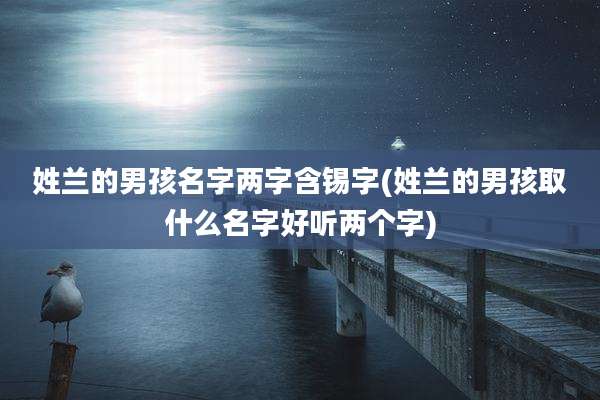 姓兰的男孩名字两字含锡字(姓兰的男孩取什么名字好听两个字)