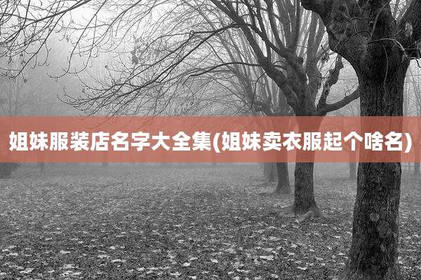 姐妹服装店名字大全集(姐妹卖衣服起个啥名)