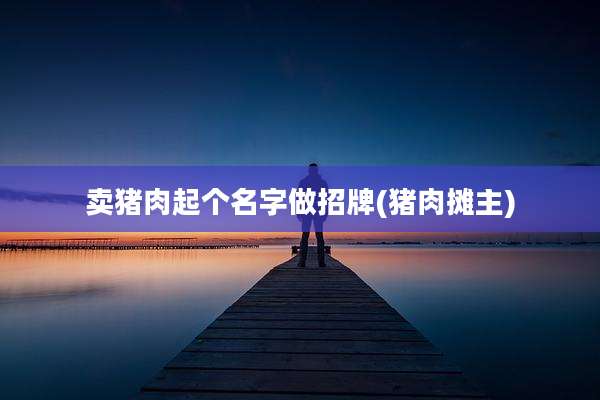 卖猪肉起个名字做招牌(猪肉摊主)