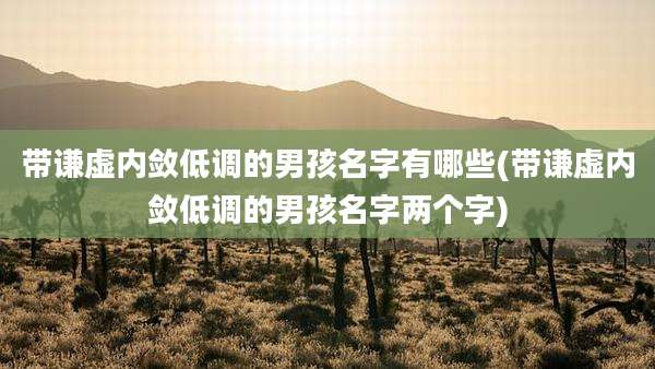 带谦虚内敛低调的男孩名字有哪些(带谦虚内敛低调的男孩名字两个字)