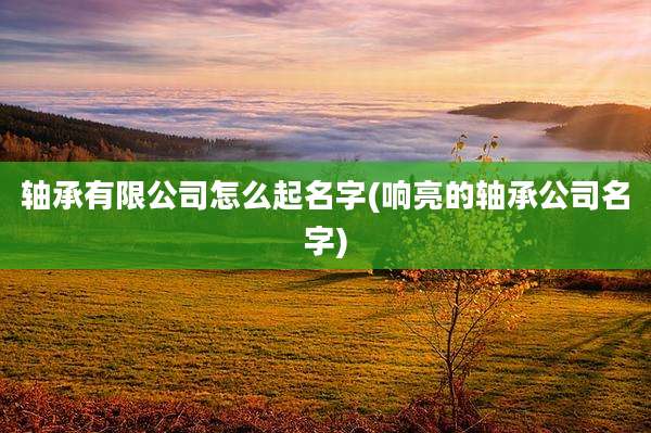 轴承有限公司怎么起名字(响亮的轴承公司名字)