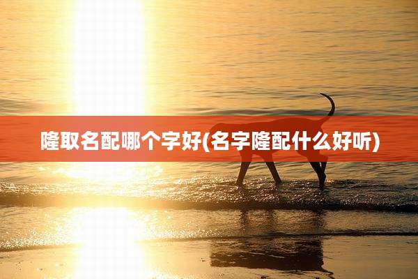 隆取名配哪个字好(名字隆配什么好听)