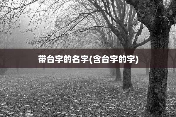 带台字的名字(含台字的字)
