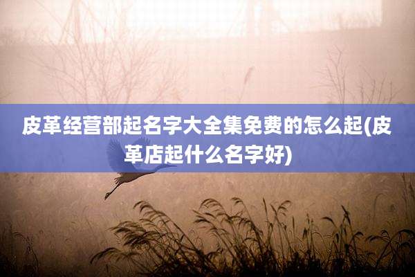 皮革经营部起名字大全集免费的怎么起(皮革店起什么名字好)