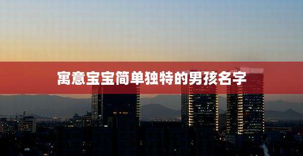 寓意宝宝简单独特的男孩名字