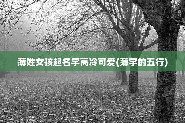 薄姓女孩起名字高冷可爱(薄字的五行)