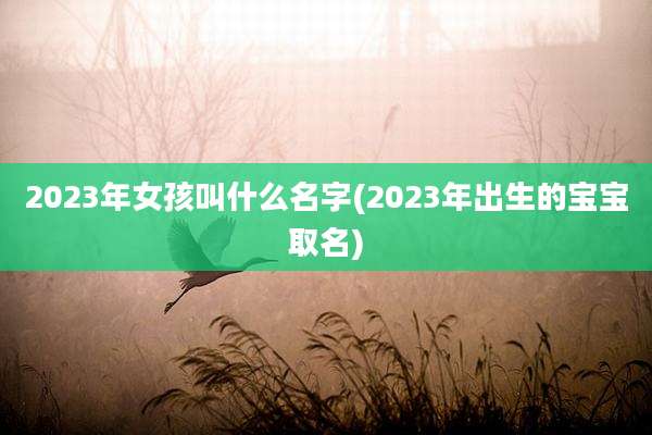 2023年女孩叫什么名字(2023年出生的宝宝取名)