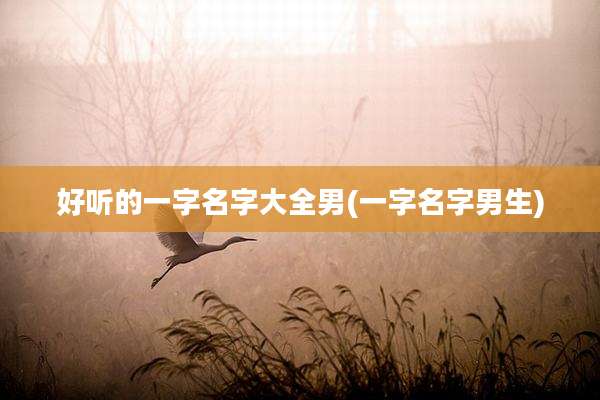 好听的一字名字大全男(一字名字男生)