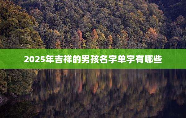 2025年吉祥的男孩名字单字有哪些