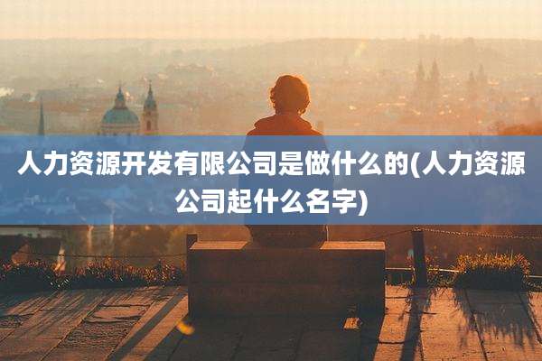人力资源开发有限公司是做什么的(人力资源公司起什么名字)