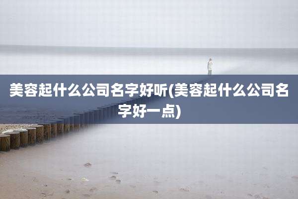 美容起什么公司名字好听(美容起什么公司名字好一点)
