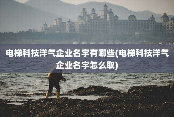 电梯科技洋气企业名字有哪些(电梯科技洋气企业名字怎么取)