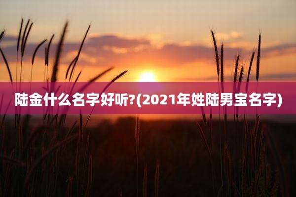 陆金什么名字好听?(2021年姓陆男宝名字)