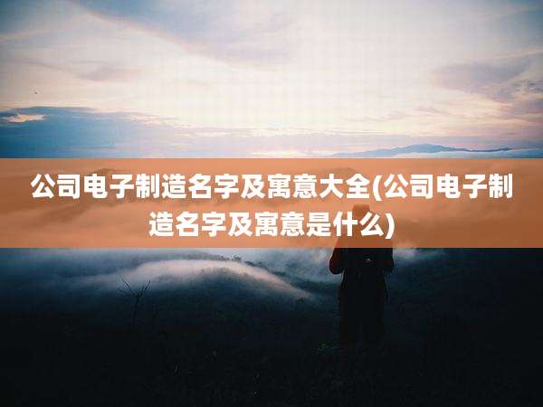 公司电子制造名字及寓意大全(公司电子制造名字及寓意是什么)