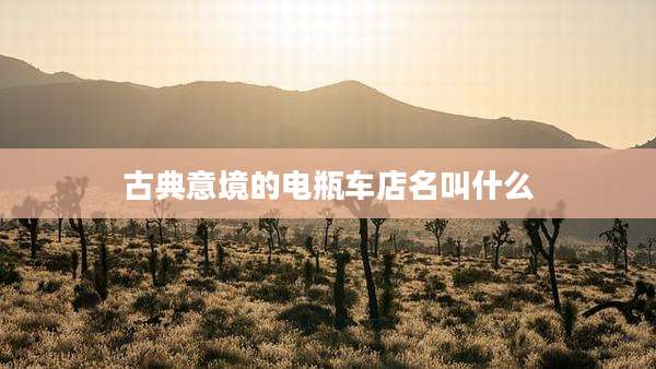 古典意境的电瓶车店名叫什么