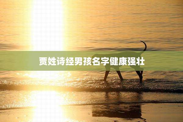 贾姓诗经男孩名字健康强壮