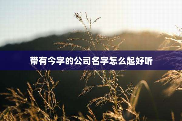 带有今字的公司名字怎么起好听