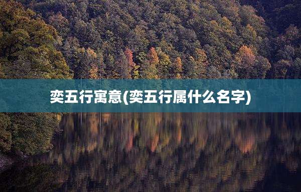 奕五行寓意(奕五行属什么名字)