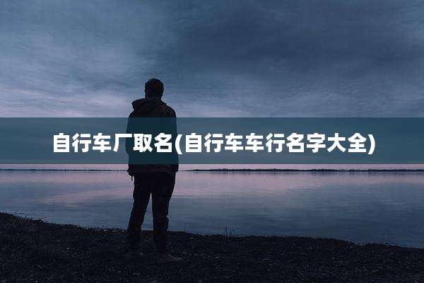 自行车厂取名(自行车车行名字大全)