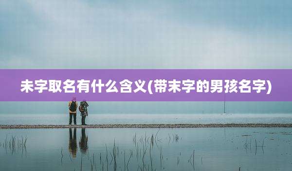未字取名有什么含义(带末字的男孩名字)
