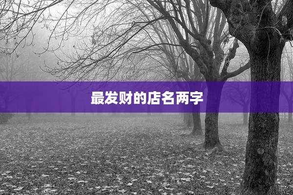 最发财的店名两字