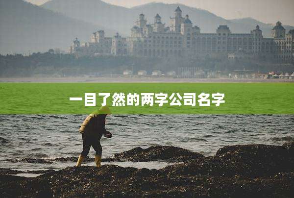 一目了然的两字公司名字