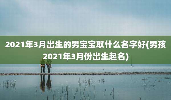 2021年3月出生的男宝宝取什么名字好(男孩2021年3月份出生起名)