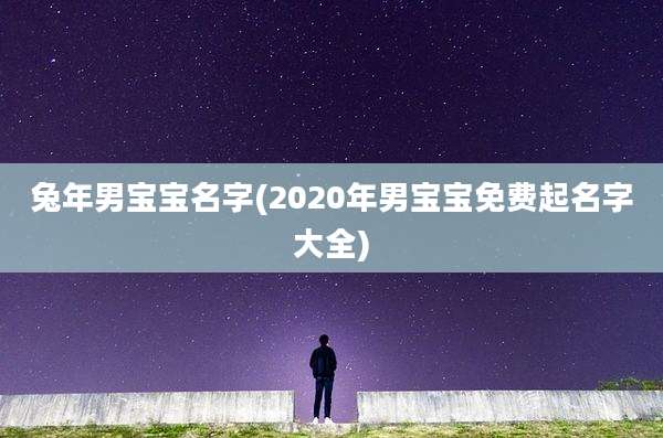 兔年男宝宝名字(2020年男宝宝免费起名字大全)
