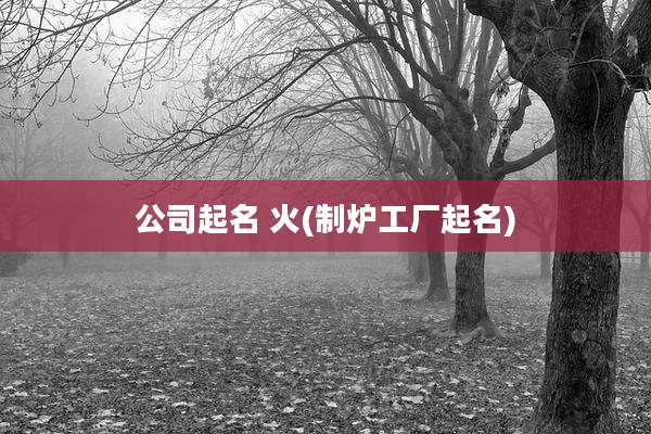 公司起名 火(制炉工厂起名)