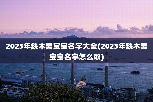 2023年缺木男宝宝名字大全(2023年缺木男宝宝名字怎么取)