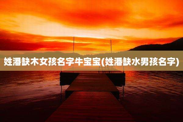 姓潘缺木女孩名字牛宝宝(姓潘缺水男孩名字)
