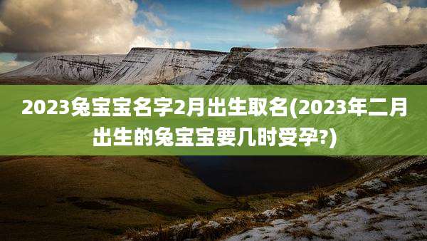2023兔宝宝名字2月出生取名(2023年二月出生的兔宝宝要几时受孕?)