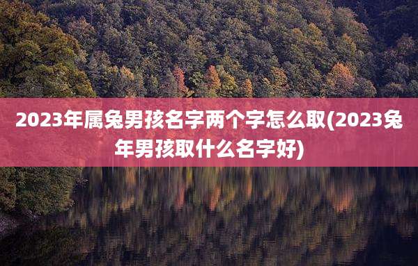 2023年属兔男孩名字两个字怎么取(2023兔年男孩取什么名字好)