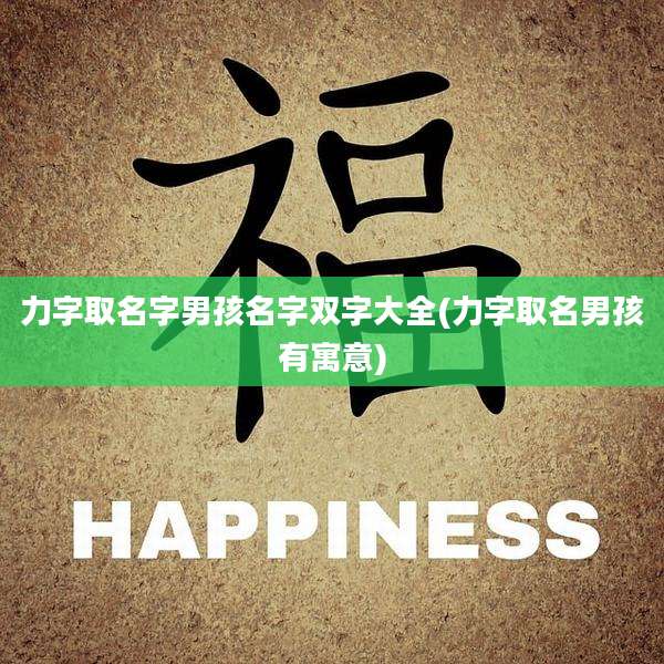 力字取名字男孩名字双字大全(力字取名男孩有寓意)