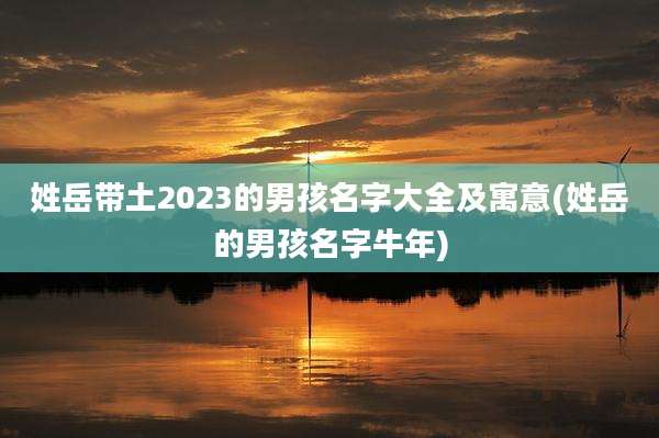 姓岳带土2023的男孩名字大全及寓意(姓岳的男孩名字牛年)