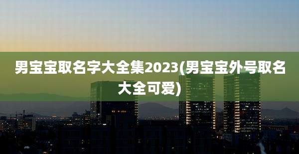 男宝宝取名字大全集2023(男宝宝外号取名大全可爱)