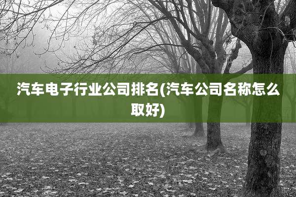 汽车电子行业公司排名(汽车公司名称怎么取好)