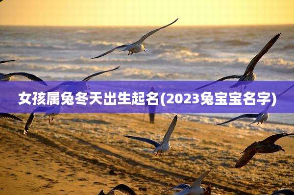 女孩属兔冬天出生起名(2023兔宝宝名字)