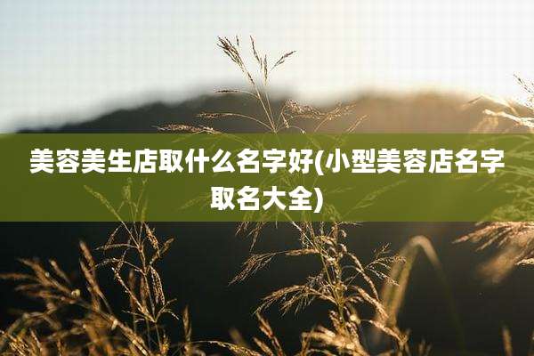 美容美生店取什么名字好(小型美容店名字取名大全)