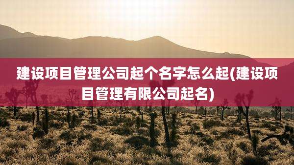建设项目管理公司起个名字怎么起(建设项目管理有限公司起名)