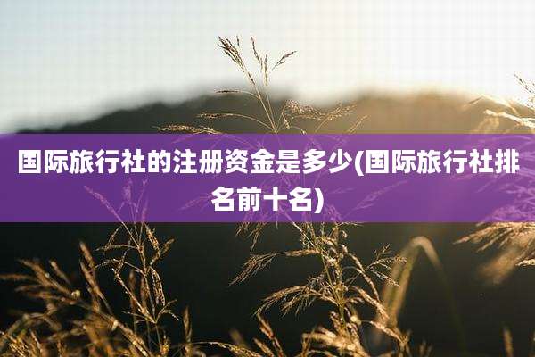 国际旅行社的注册资金是多少(国际旅行社排名前十名)