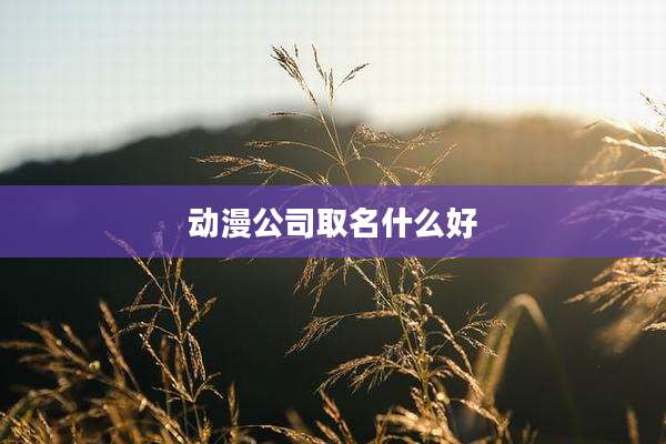 动漫公司取名什么好