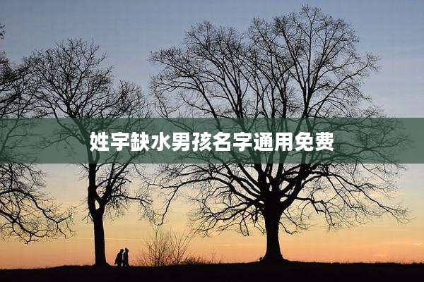 姓宇缺水男孩名字通用免费