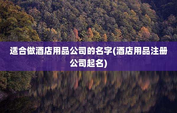 适合做酒店用品公司的名字(酒店用品注册公司起名)