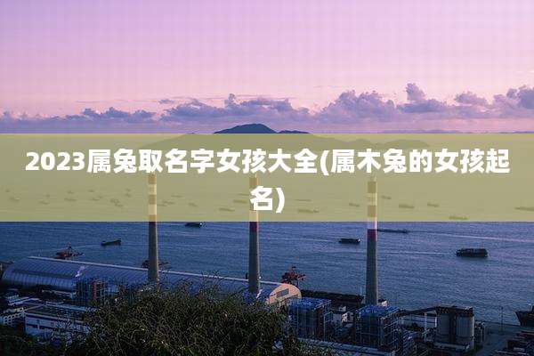 2023属兔取名字女孩大全(属木兔的女孩起名)