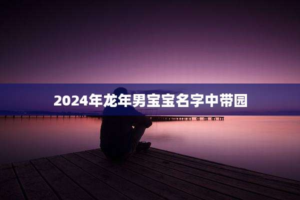 2024年龙年男宝宝名字中带园